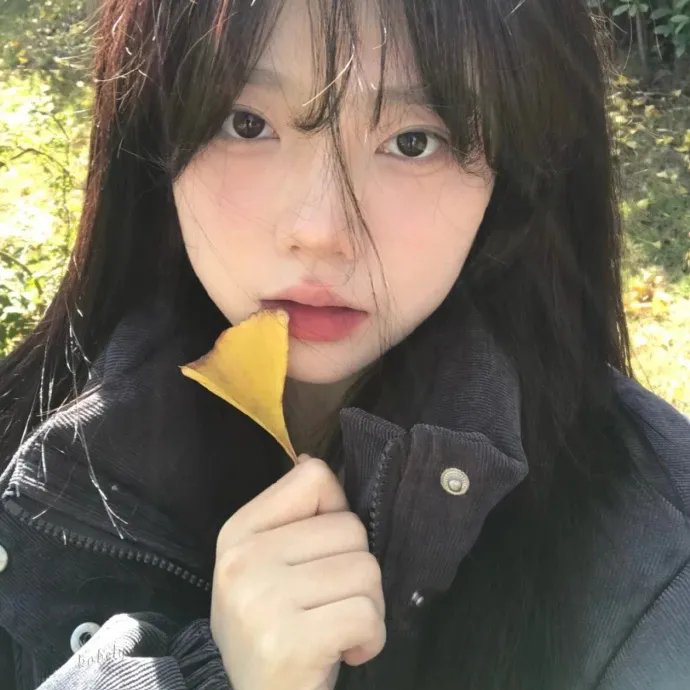 进击的沐小姐